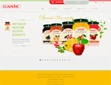 Tablet Screenshot of ganik.com